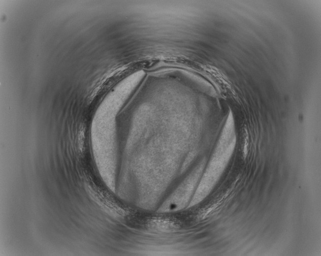 X0000087050596200705091137