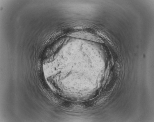 X0000087050597200705091137