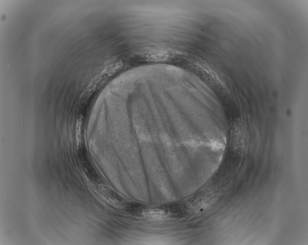 X0000087050598200705091137