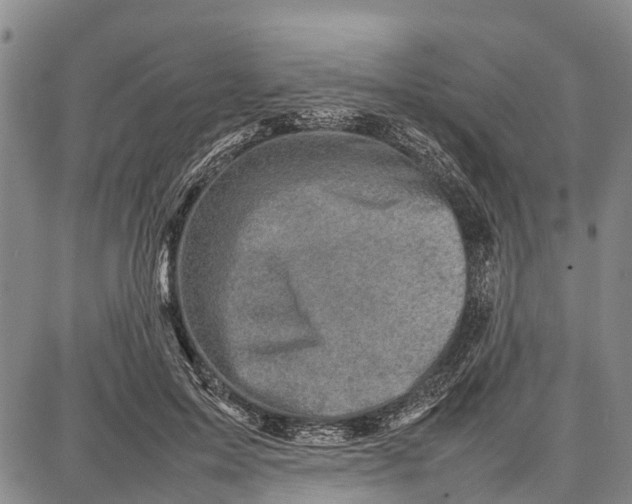 X0000087050599200705091137