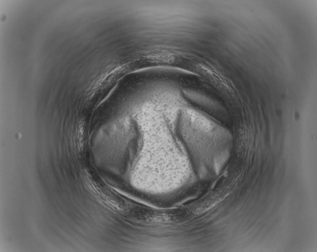 X0000087050600200705091137