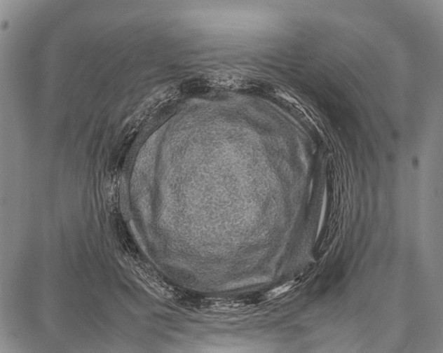 X0000087050601200705091137