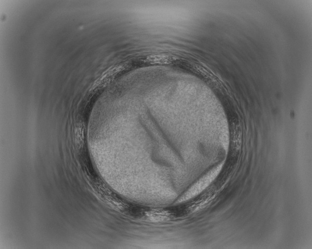 X0000087050603200705091137