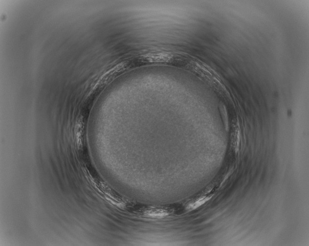 X0000087050604200705091137