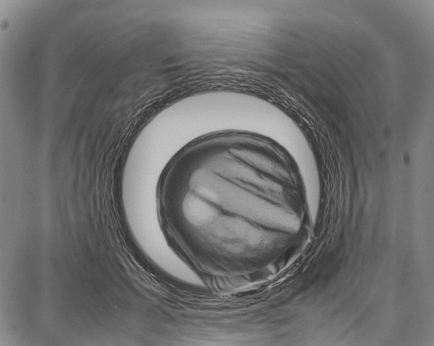 X0000087050605200705091137