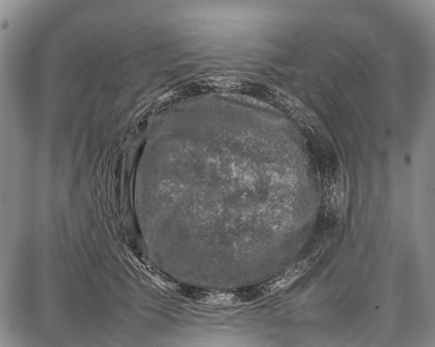 X0000087050609200705091137