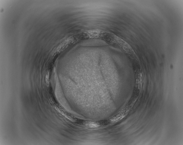 X0000087050610200705091137