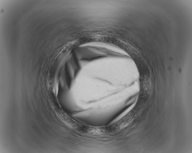 X0000087050611200705091137