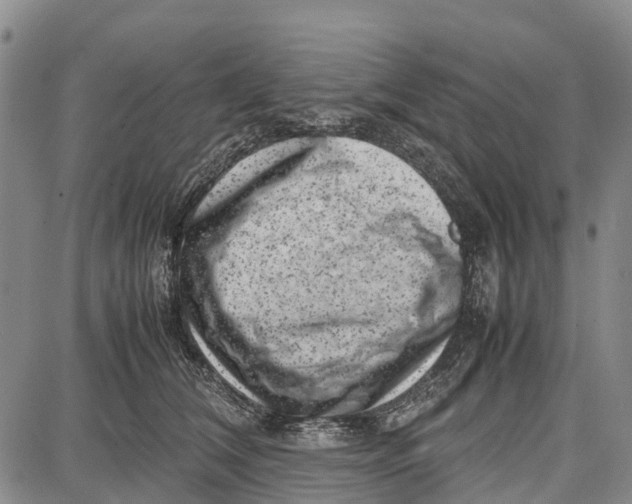 X0000087050612200705091137