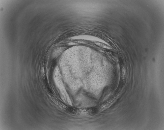 X0000087050613200705091137