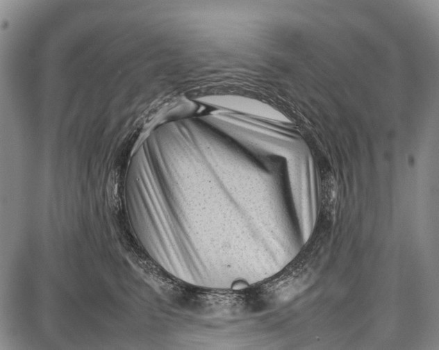 X0000087050615200705091137