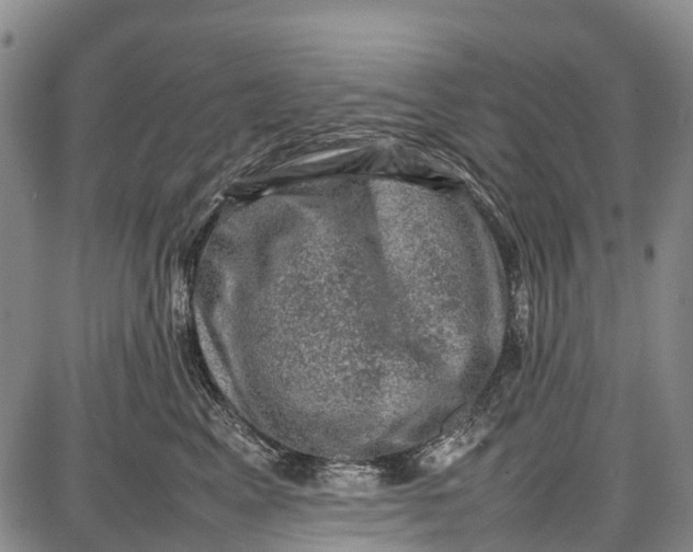 X0000087050617200705091137