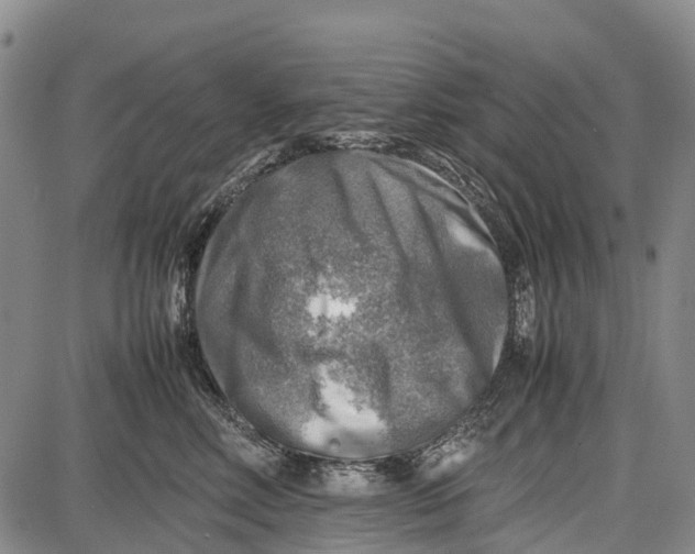 X0000087050618200705091137