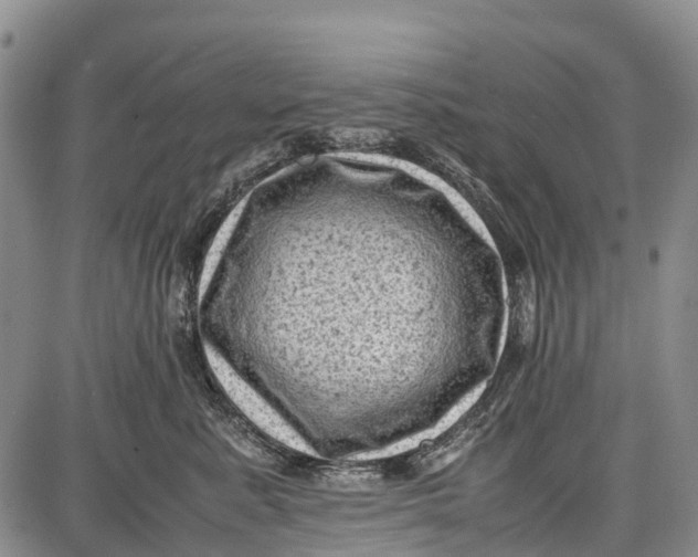 X0000087050619200705091137