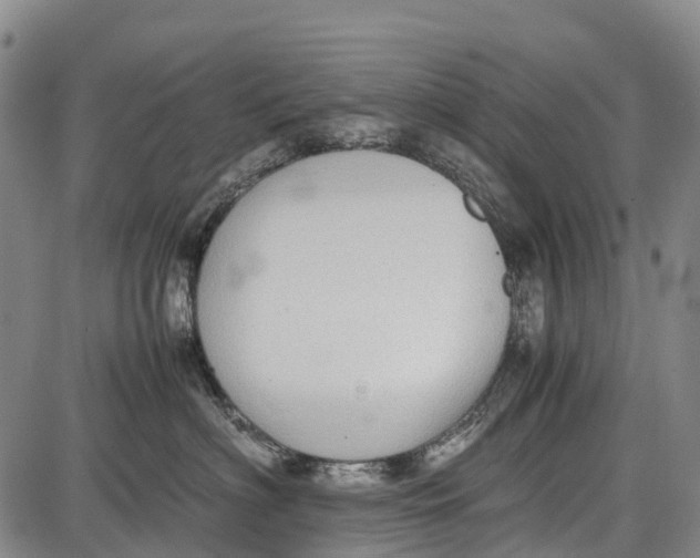 X0000087050622200705091137