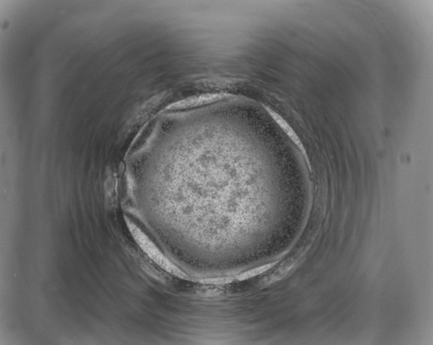 X0000087050624200705091137