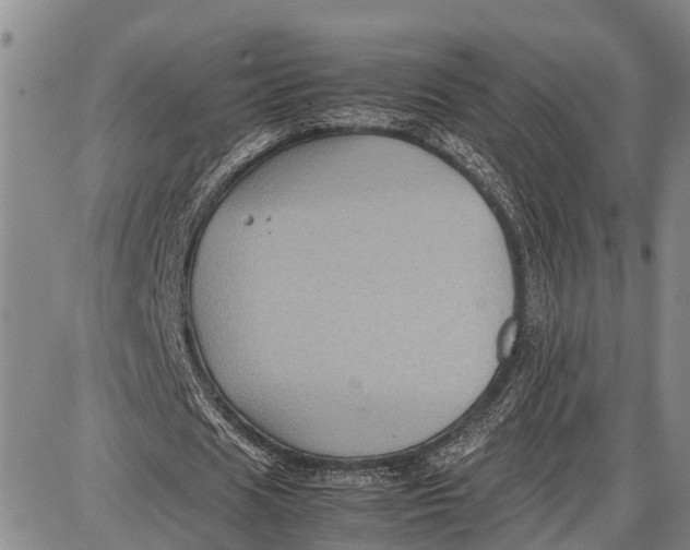 X0000087050625200705091136