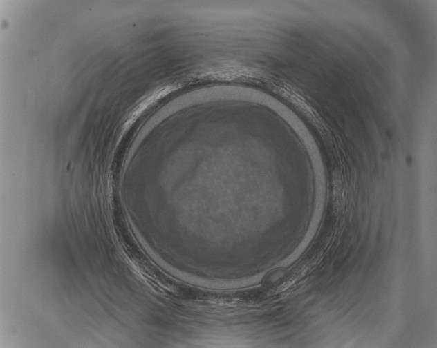 X0000087050626200705091136