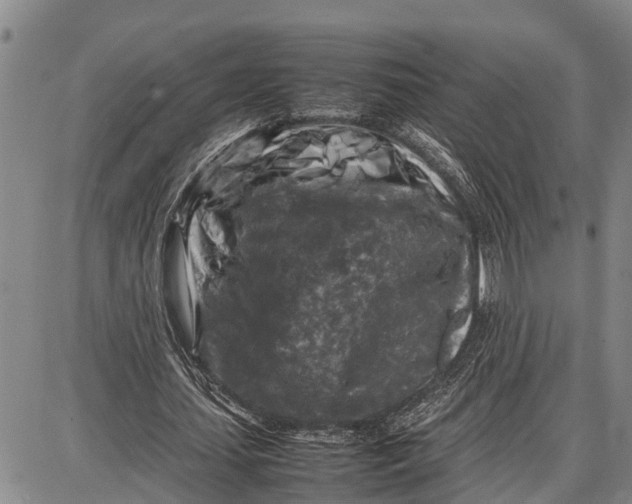 X0000087050627200705091136