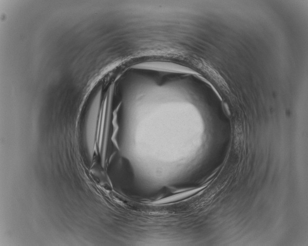 X0000087050628200705091136