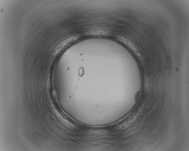 X0000087050629200705091136