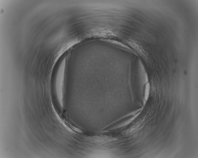 X0000087050630200705091136