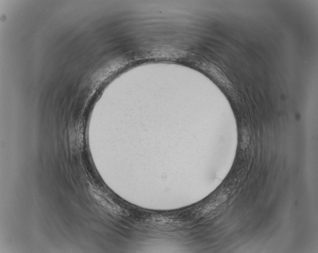 X0000087050632200705091136