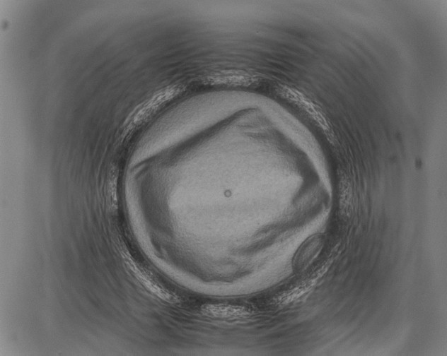 X0000087050633200705091136