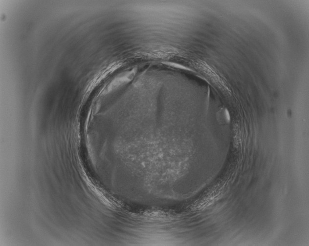 X0000087050634200705091136