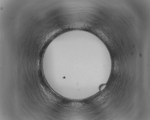 X0000087050636200705091136