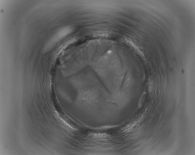 X0000087050637200705091136