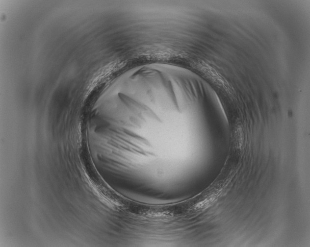 X0000087050638200705091136