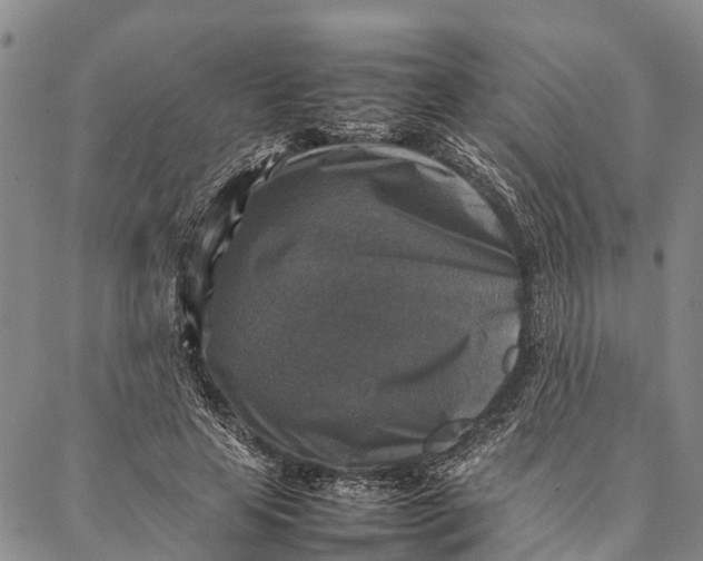 X0000087050641200705091136