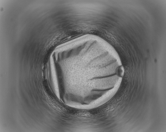 X0000087050642200705091136