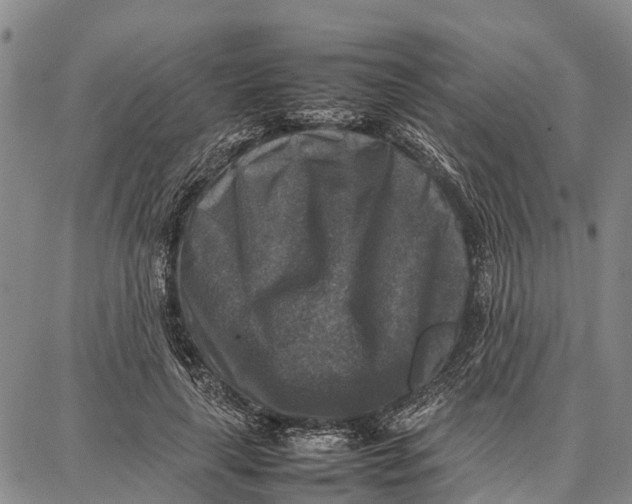 X0000087050643200705091137