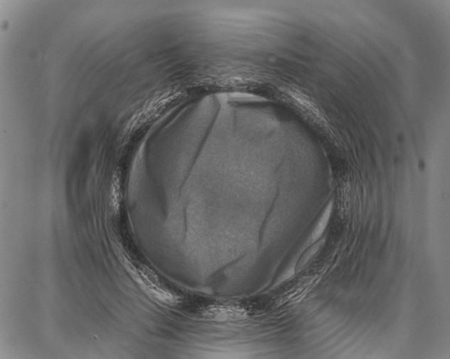 X0000087050644200705091137