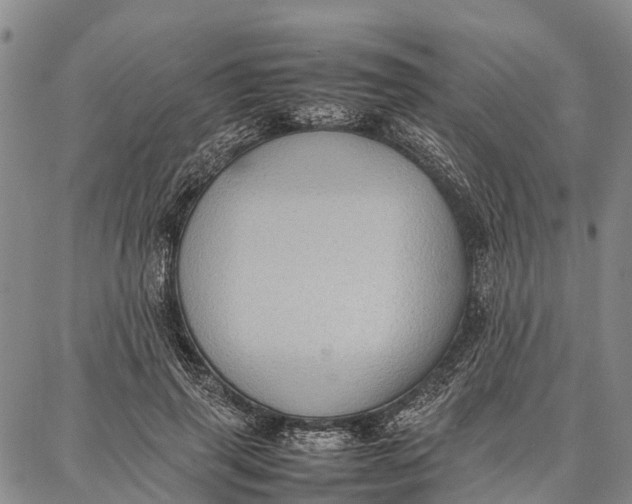 X0000087050645200705091137