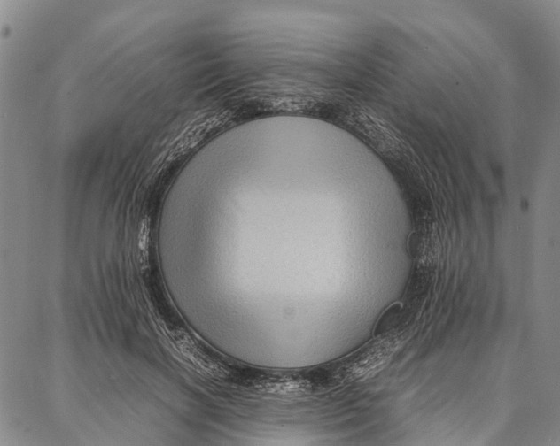 X0000087050646200705091137