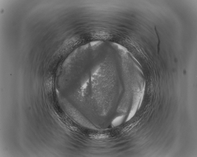 X0000087050647200705091137