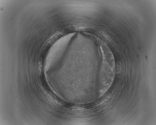 X0000087050648200705091137