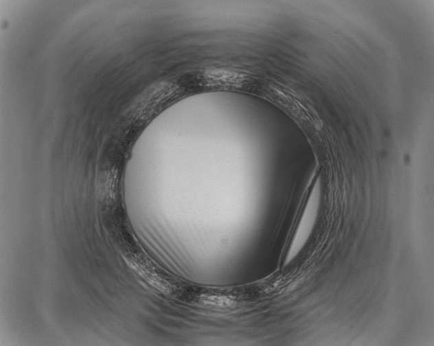 X0000087050649200705091137