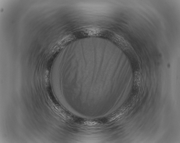 X0000087050650200705091137