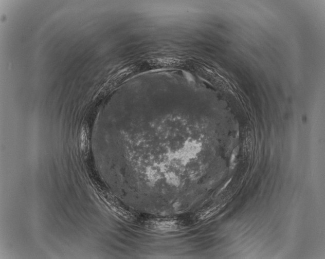 X0000087050651200705091137