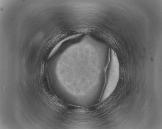 X0000087050652200705091137