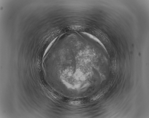 X0000087050653200705091137