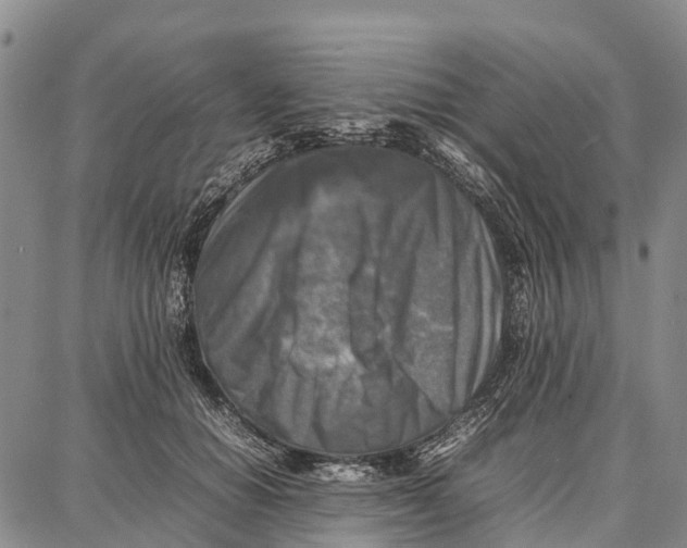 X0000087050654200705091137