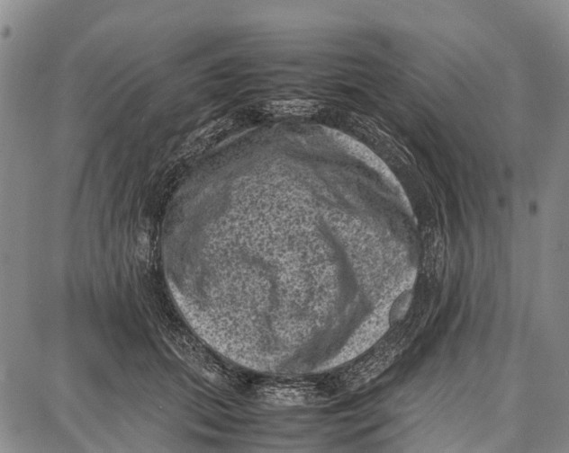 X0000087050655200705091137