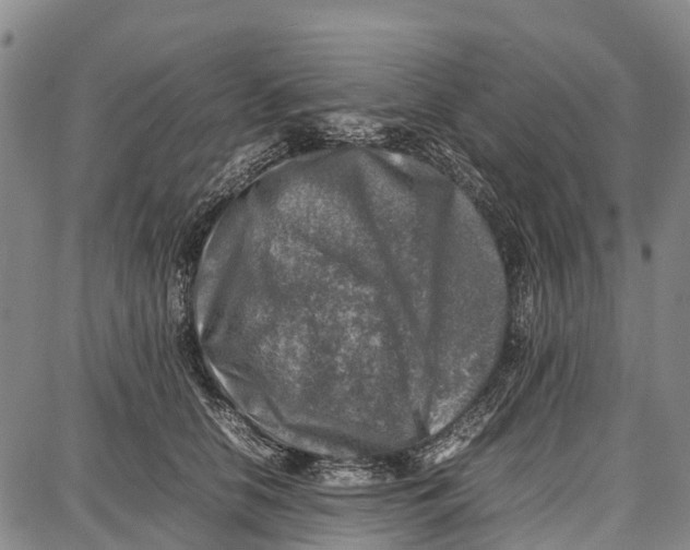 X0000087050658200705091137