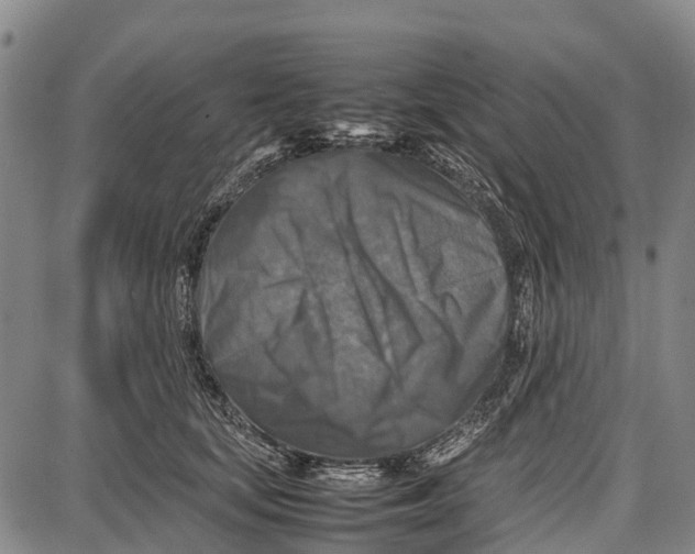 X0000087050659200705091137