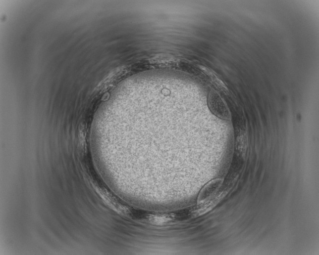 X0000087050662200705091137